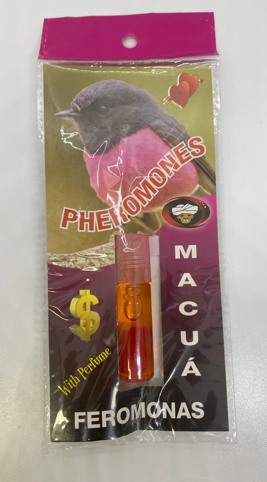 Macua Bird Pheromones