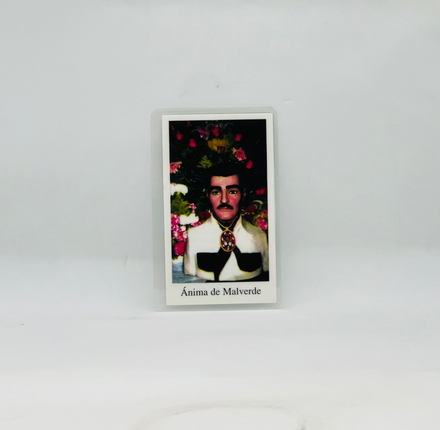 Jesus Malverde Prayer Card